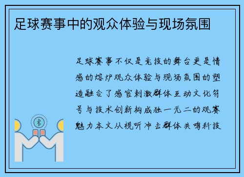 足球赛事中的观众体验与现场氛围